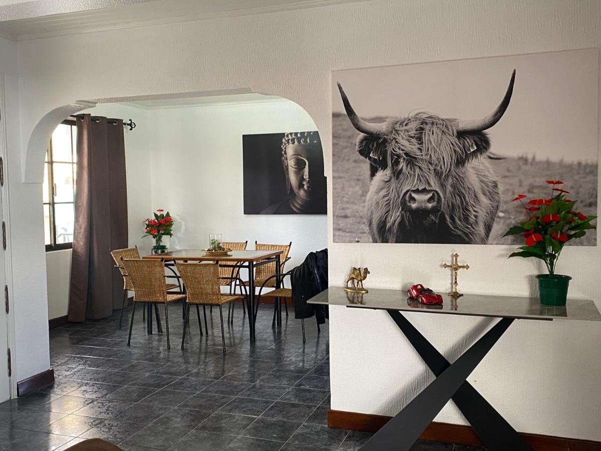 Hollywood Villa Campanário Kültér fotó